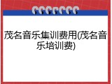 茂名音乐集训费用(茂名音乐培训费)