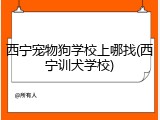 西宁宠物狗学校上哪找(西宁训犬学校)