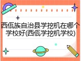 西佤族自治县学挖机在哪个学校好(西佤学挖机学校)