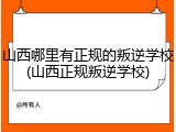 山西哪里有正规的叛逆学校(山西正规叛逆学校)