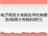 电子商务大专排名学校有哪些(电商大专院校排行)