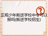 正规少年叛逆学校中专可以报吗(叛逆学校招生)