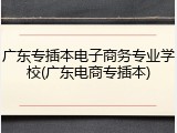 广东专插本电子商务专业学校(广东电商专插本)