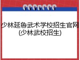 少林延鲁武术学校招生官网(少林武校招生)