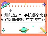 郑州问题少年学校哪个比较好(郑州问题少年学校推荐)