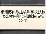 郴州苏仙数控培训学校技校怎么样(郴州苏仙数控技校如何)