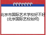 北京市国际艺术学校好不好(北京国际艺校如何)