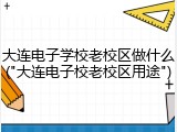 大连电子学校老校区做什么("大连电子校老校区用途")