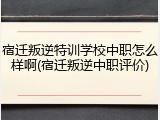 宿迁叛逆特训学校中职怎么样啊(宿迁叛逆中职评价)