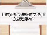 山东正规少年叛逆学校(山东叛逆学校)