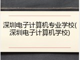 深圳电子计算机专业学校(深圳电子计算机学校)
