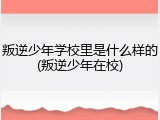 叛逆少年学校里是什么样的(叛逆少年在校)