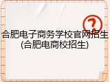 合肥电子商务学校官网招生(合肥电商校招生)