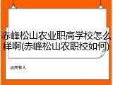 赤峰松山农业职高学校怎么样啊(赤峰松山农职校如何)