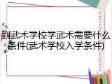 到武术学校学武术需要什么条件(武术学校入学条件)