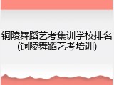 铜陵舞蹈艺考集训学校排名(铜陵舞蹈艺考培训)