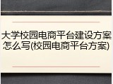 大学校园电商平台建设方案怎么写(校园电商平台方案)