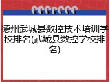 德州武城县数控技术培训学校排名(武城县数控学校排名)
