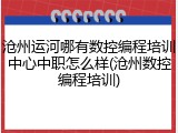 沧州运河哪有数控编程培训中心中职怎么样(沧州数控编程培训)