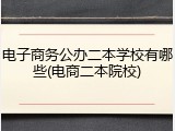 电子商务公办二本学校有哪些(电商二本院校)