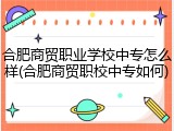 合肥商贸职业学校中专怎么样(合肥商贸职校中专如何)