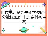 山东电力高等专科学校初中分数线(山东电力专科初中线)