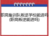 职高集训队叛逆学校能进吗(职高叛逆能进吗)