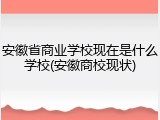 安徽省商业学校现在是什么学校(安徽商校现状)