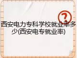 西安电力专科学校就业率多少(西安电专就业率)