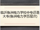 临沂鲁洲电力学校中专还是大专(鲁洲电力学历层次)