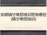 安顺镇宁单招培训班有哪些(镇宁单招培训)