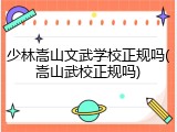 少林嵩山文武学校正规吗(嵩山武校正规吗)