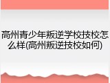 高州青少年叛逆学校技校怎么样(高州叛逆技校如何)