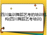 四川集训舞蹈艺考的培训机构(四川舞蹈艺考培训)