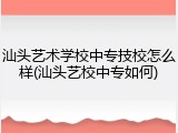 汕头艺术学校中专技校怎么样(汕头艺校中专如何)
