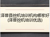 泽普县挖机培训机构哪家好(泽普挖机培训优选)