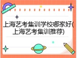 上海艺考集训学校哪家好(上海艺考集训推荐)