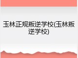玉林正规叛逆学校(玉林叛逆学校)