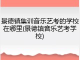景德镇集训音乐艺考的学校在哪里(景德镇音乐艺考学校)