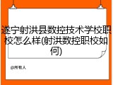 遂宁射洪县数控技术学校职校怎么样(射洪数控职校如何)