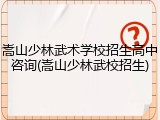 嵩山少林武术学校招生高中咨询(嵩山少林武校招生)