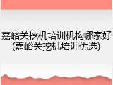 嘉峪关挖机培训机构哪家好(嘉峪关挖机培训优选)
