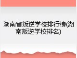 湖南省叛逆学校排行榜(湖南叛逆学校排名)