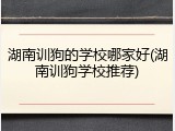 湖南训狗的学校哪家好(湖南训狗学校推荐)