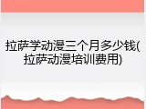 拉萨学动漫三个月多少钱(拉萨动漫培训费用)
