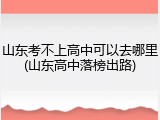 山东考不上高中可以去哪里(山东高中落榜出路)