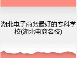 湖北电子商务最好的专科学校(湖北电商名校)