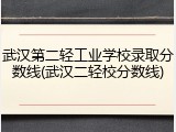 武汉第二轻工业学校录取分数线(武汉二轻校分数线)