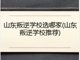 山东叛逆学校选哪家(山东叛逆学校推荐)
