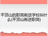 平顶山的职高叛逆学校叫什么(平顶山叛逆职高)